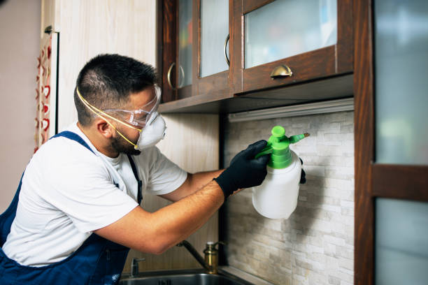 Best Affordable Pest Control Services  in University Park, NM