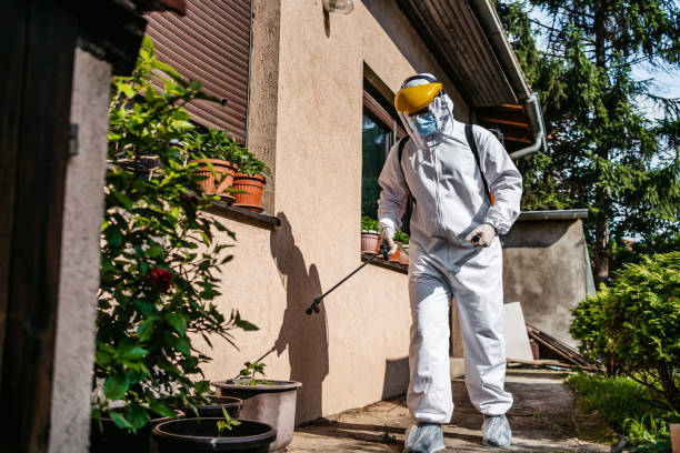 Best Best Pest Control Near Me  in University Park, NM