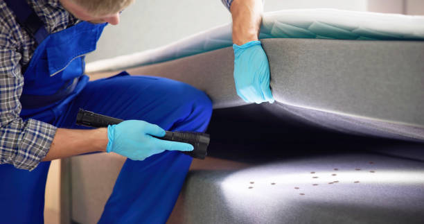 Best Residential Pest Control  in University Park, NM